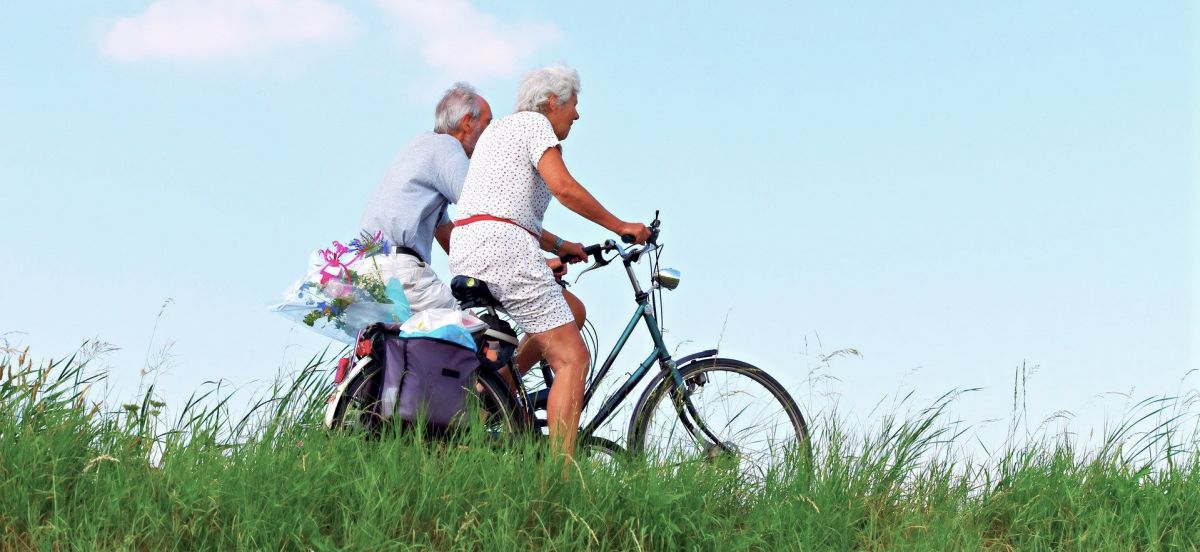 easy ride bikes for seniors