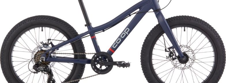 rei co op bike 20