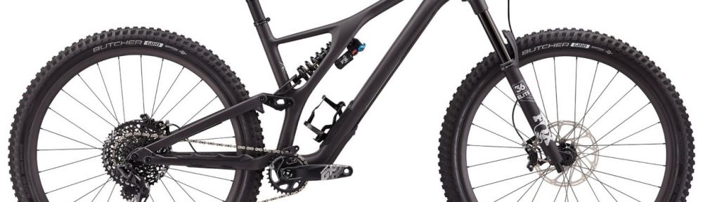 Specialized stumpjumper evo pro best sale carbon 29