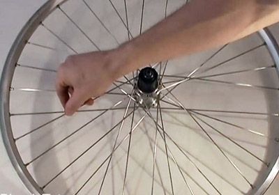 spokes of a bicycle wheel