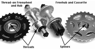 removing freewheel hub